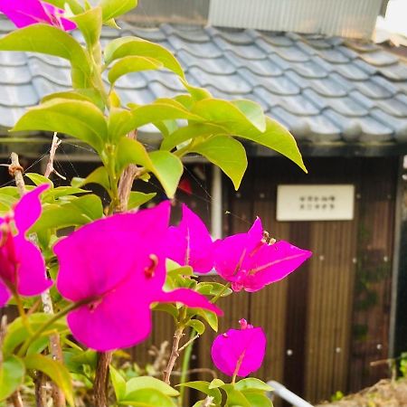 Guesthouse Nichinan - Vacation Stay 82905V Exterior photo